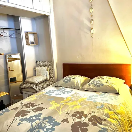 Cosy En Haute * 圣弗卢尔