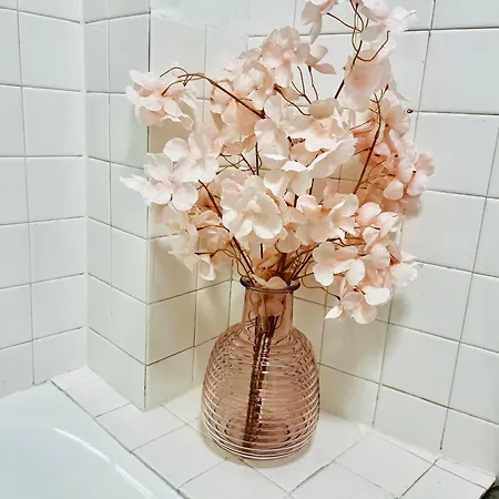 Cosy En Haute Apartment *